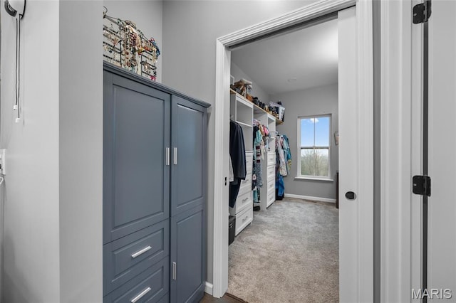 13160 Mammoth Rd, De Soto, MO 63020 - walk in closet with carpet