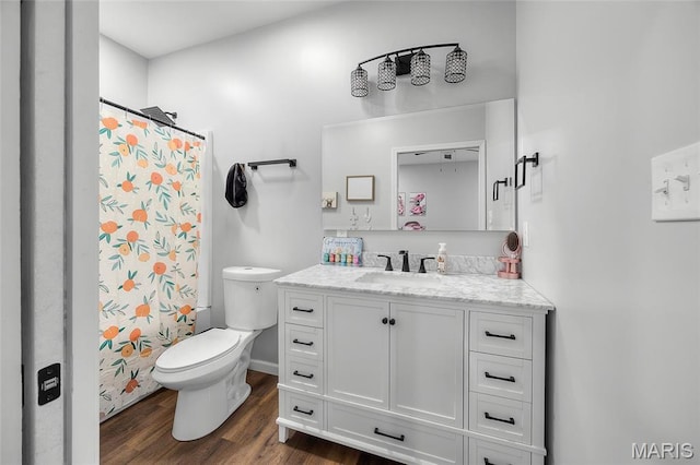 13160 Mammoth Rd, De Soto, MO 63020 - full bath featuring vanity, wood finished floors, and a shower with shower curtain