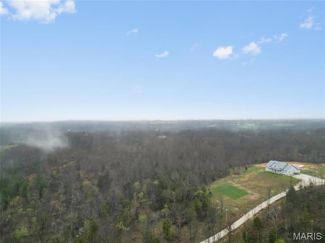 13160 Mammoth Rd, De Soto, MO 63020 - view from above of property featuring a heavily wooded area