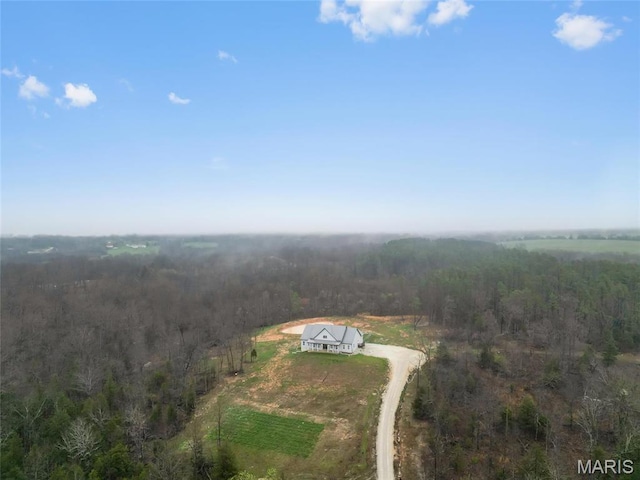13160 Mammoth Rd, De Soto, MO 63020 - view of subject property featuring a forest