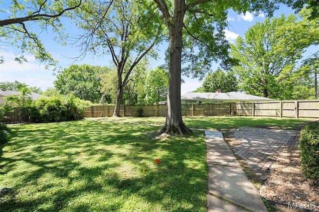 view of yard