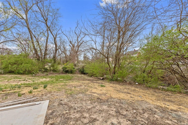 30 S 14th St, Belleville, IL 62220 - photo 6