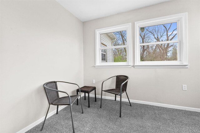30 S 14th St, Belleville, IL 62220 - photo 21