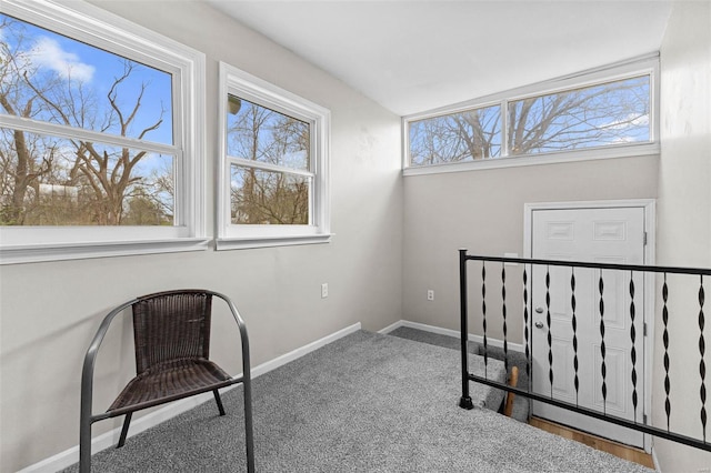 30 S 14th St, Belleville, IL 62220 - photo 22