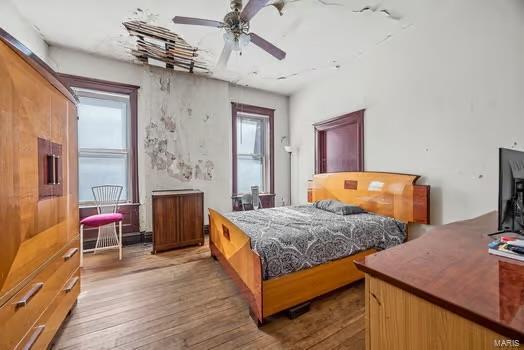 2926 Dodier, Saint Louis, MO 63107 - bedroom featuring light wood-type flooring and multiple windows