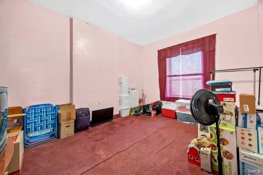 2926 Dodier, Saint Louis, MO 63107 - playroom with carpet floors