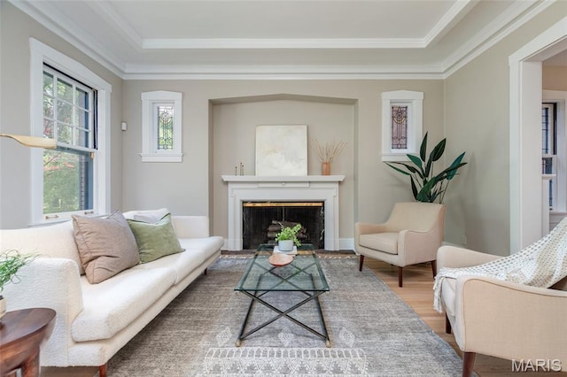 44 Kingsbury Pl, Saint Louis, MO 63112 - living room featuring wood finished floors, a fireplace, and ornamental molding