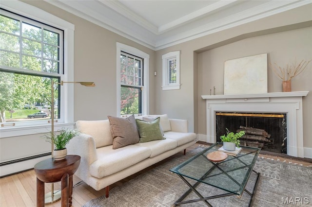 44 Kingsbury Pl, Saint Louis, MO 63112 - living area with healthy amount of natural light, hardwood / wood-style flooring, a fireplace, and ornamental molding