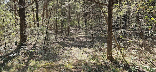 4474 Cedar Tree, De Soto, MO 63020 - photo 2