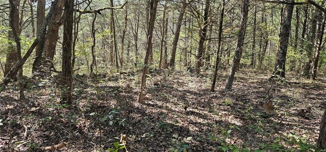 4474 Cedar Tree, De Soto, MO 63020 - photo 3