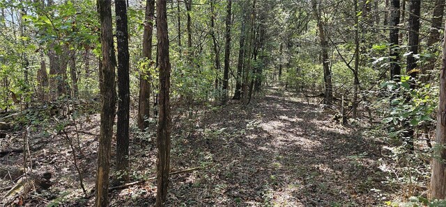 4474 Cedar Tree, De Soto, MO 63020 - photo 4