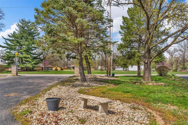 8620 State Route 163, Belleville, IL 62223 - view of grassy yard