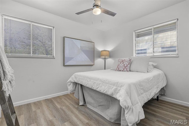 35 Florissant Park Dr, Florissant, MO 63031 - bedroom with wood finished floors, multiple windows, baseboards, and ceiling fan