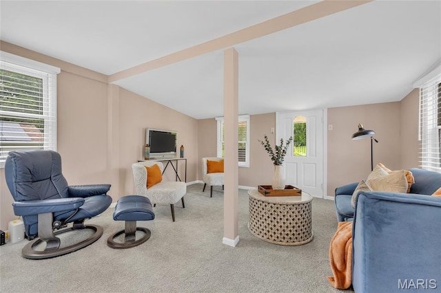 1010 Briarton Dr, Saint Louis, MO 63126 - living room with carpet floors and plenty of natural light