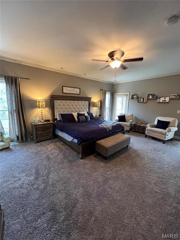 bedroom featuring carpet floors, multiple windows, ornamental molding, and a ceiling fan
