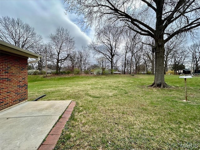view of green lawn