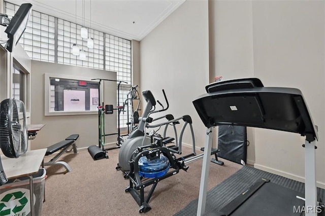 901 Washington Ave Unit 310, Saint Louis, MO 63101 - exercise room featuring carpet flooring, baseboards, and crown molding