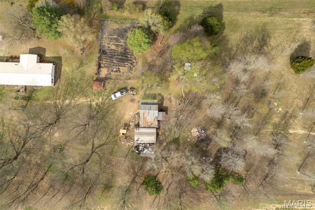19518 State Highway Ww, Puxico, MO 63960 - aerial view