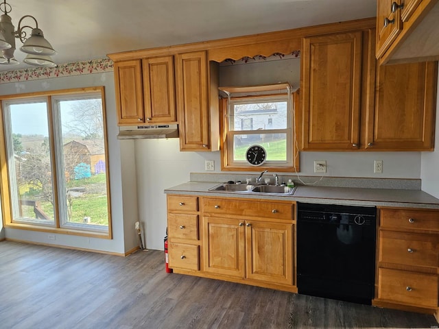 1501 S Main St, Hillsboro, IL 62049 - kitchen featuring black dishwasher, a sink, dark wood-type flooring, brown cabinets, and healthy amount of natural light