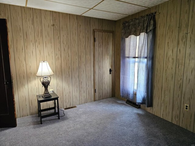 1501 S Main St, Hillsboro, IL 62049 - unfurnished room featuring carpet flooring and wooden walls