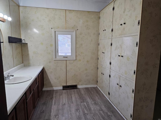 1501 S Main St, Hillsboro, IL 62049 - bathroom with wood finished floors, baseboards, and vanity