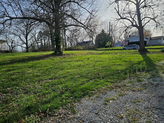 1501 S Main St, Hillsboro, IL 62049 - view of yard