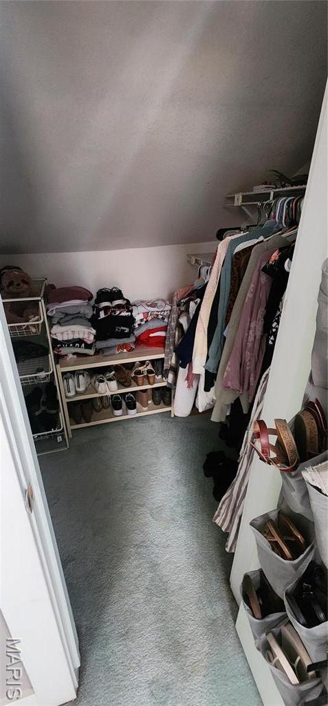 530 W Holmes, Chester, IL 62233 - spacious closet with carpet flooring