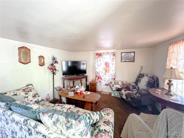113 Esther St, Steelville, MO 65565 - photo 6
