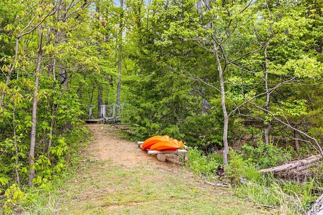 view of yard featuring a wooded view