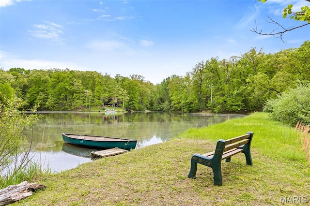 dock with a forest view and a water view