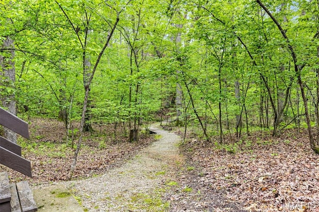 view of street with a forest view