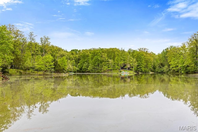 634 Wunderbar Point Dr, Innsbrook, MO 63390 - water view with a forest