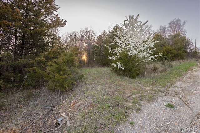 0 Henry Dr, New London, MO 63459