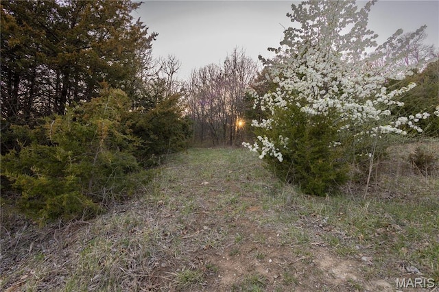 0 Henry Dr, New London, MO 63459