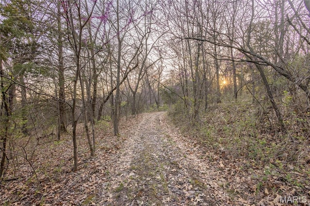 0 Henry Dr, New London, MO 63459