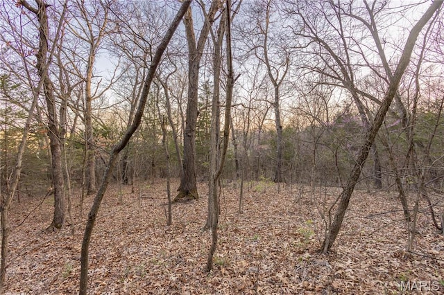 0 Henry Dr, New London, MO 63459