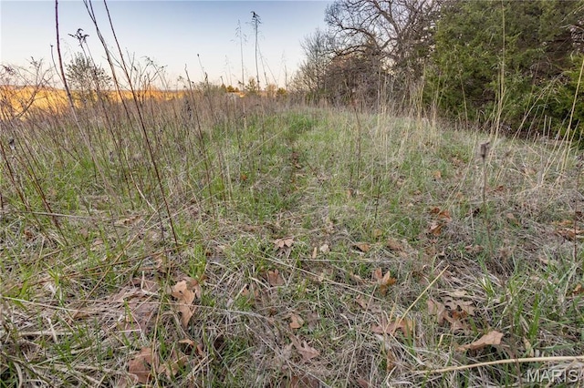 0 Henry Dr, New London, MO 63459