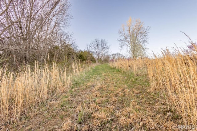 0 Henry Dr, New London, MO 63459