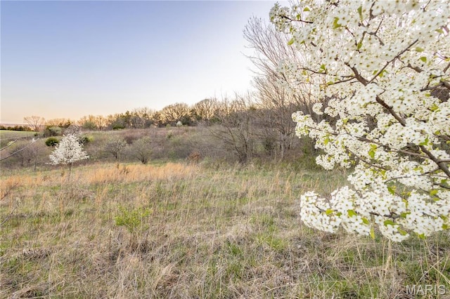 0 Henry Dr, New London, MO 63459