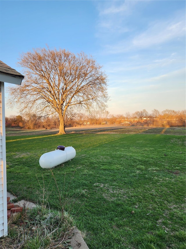 view of grassy yard