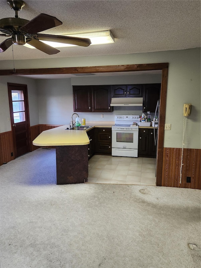 kitchen featuring white electric stove, a sink, under cabinet range hood, a wainscoted wall, and light colored carpet