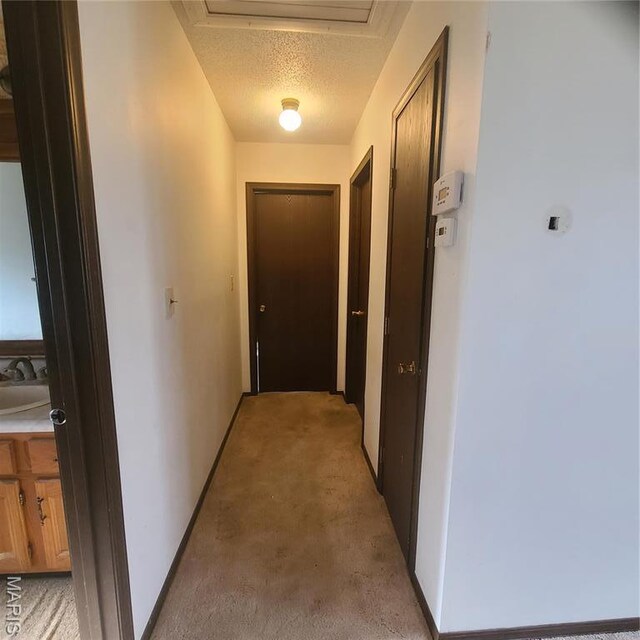 23026 Reporter Rd, Waynesville, MO 65583 - corridor featuring a textured ceiling, light colored carpet, a sink, and baseboards