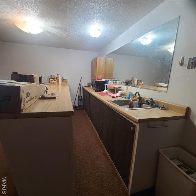 23026 Reporter Rd, Waynesville, MO 65583 - kitchen featuring a sink, a textured ceiling, light countertops, and dark carpet