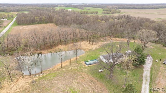 1401 Longbridge Trl, Walshville, IL 62091 - photo 2
