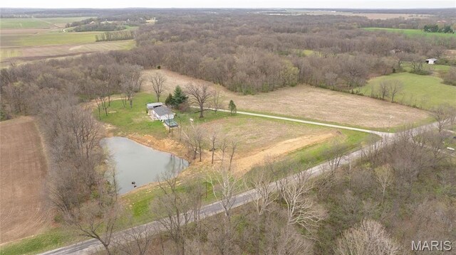 1401 Longbridge Trl, Walshville, IL 62091 - photo 5
