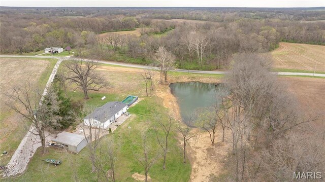 1401 Longbridge Trl, Walshville, IL 62091 - photo 6
