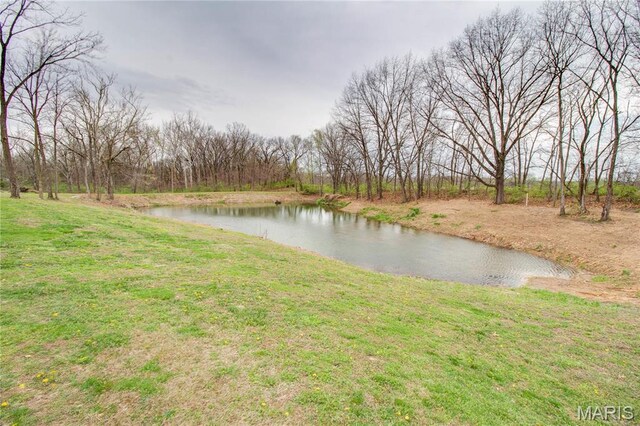 1401 Longbridge Trl, Walshville, IL 62091 - photo 20