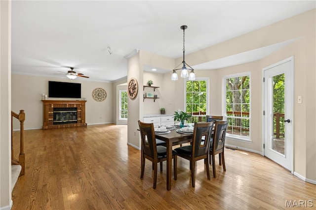 16112 Ridgewoods Manor Cir, Ellisville, MO 63038 - dining room featuring wood finished floors, healthy amount of natural light, and baseboards