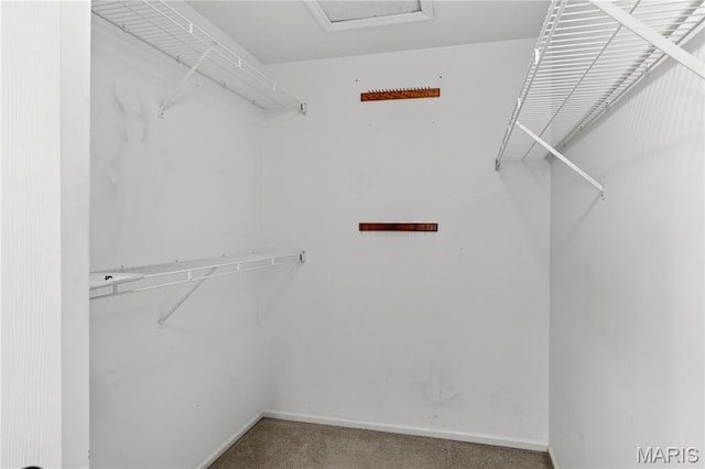 16112 Ridgewoods Manor Cir, Ellisville, MO 63038 - spacious closet featuring carpet floors and attic access