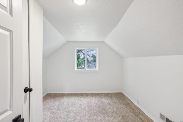 104 N 6th St, Witt, IL 62094 - bonus room with carpet flooring, lofted ceiling, and baseboards